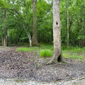 Review photo of Lake Fausse Pointe State Park Campground by Brandon R., May 2, 2021