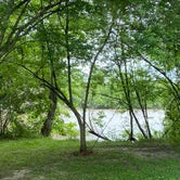 Review photo of Lake Fausse Pointe State Park Campground by Brandon R., May 2, 2021