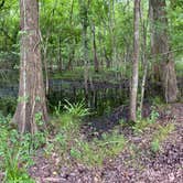 Review photo of Lake Fausse Pointe State Park Campground by Brandon R., May 2, 2021