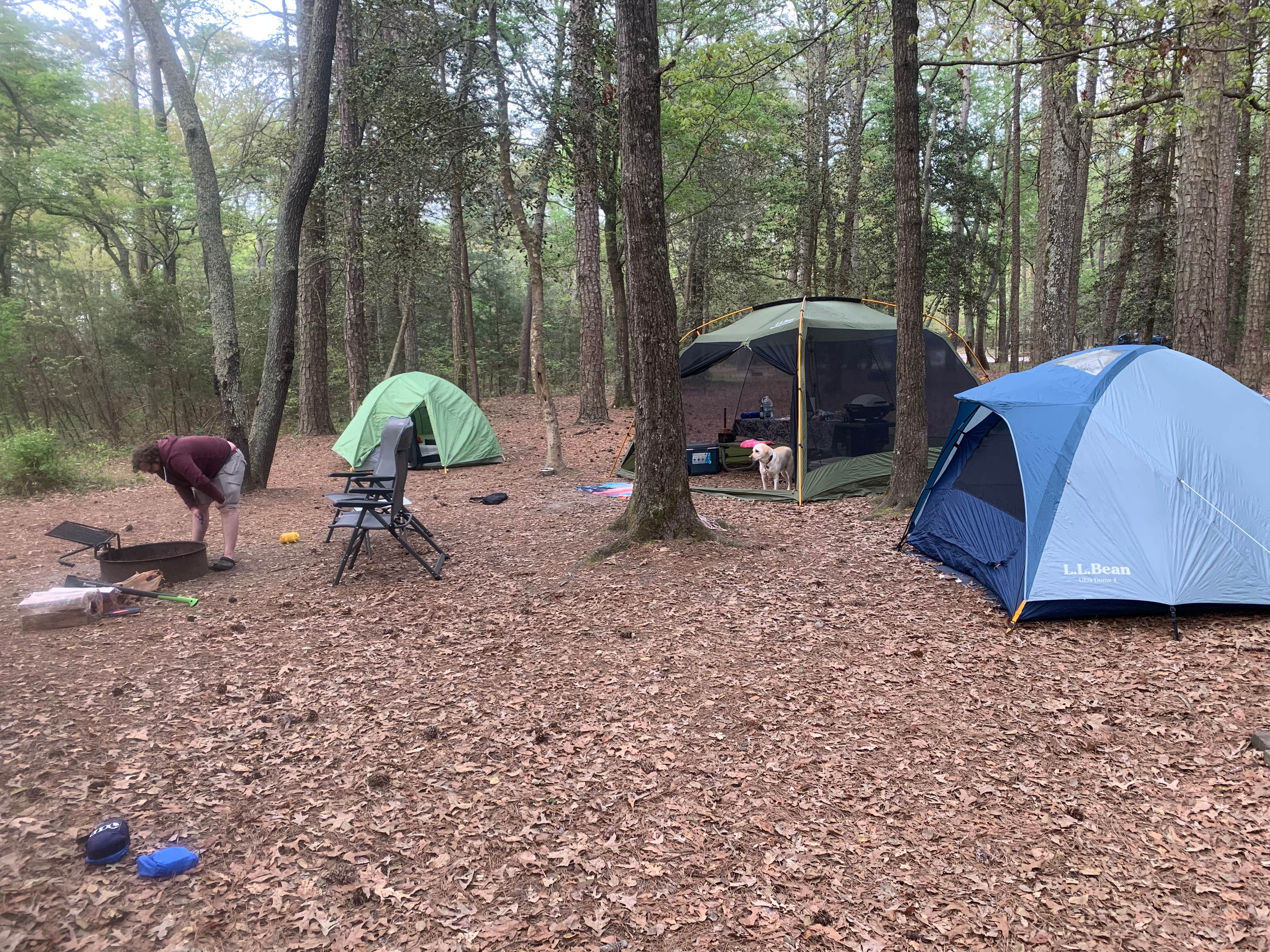 Gary G.'s photo at Kiptopeke State Park Campground near Greenwood, VA