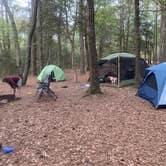 Review photo of Kiptopeke State Park Campground by Gary G., May 2, 2021