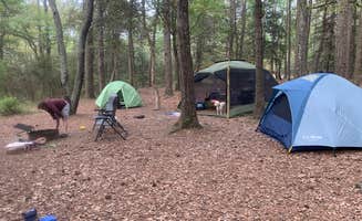 Gary G.'s photo at Kiptopeke State Park Campground near Greenwood, VA