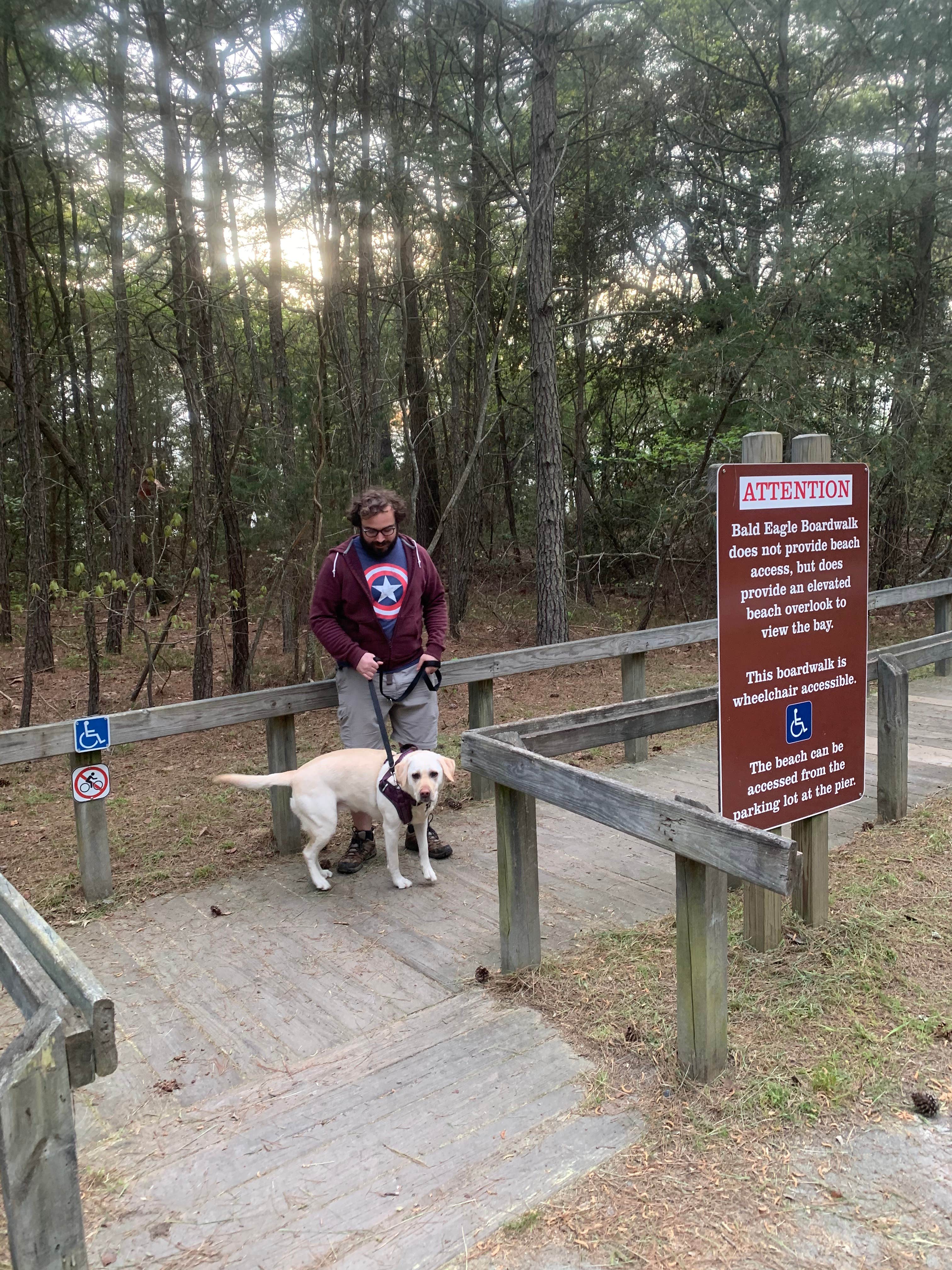 Gary G.'s photo of camping with pets at Kiptopeke State Park Campground near Newport News, VA