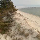 Review photo of Kiptopeke State Park Campground by Gary G., May 2, 2021