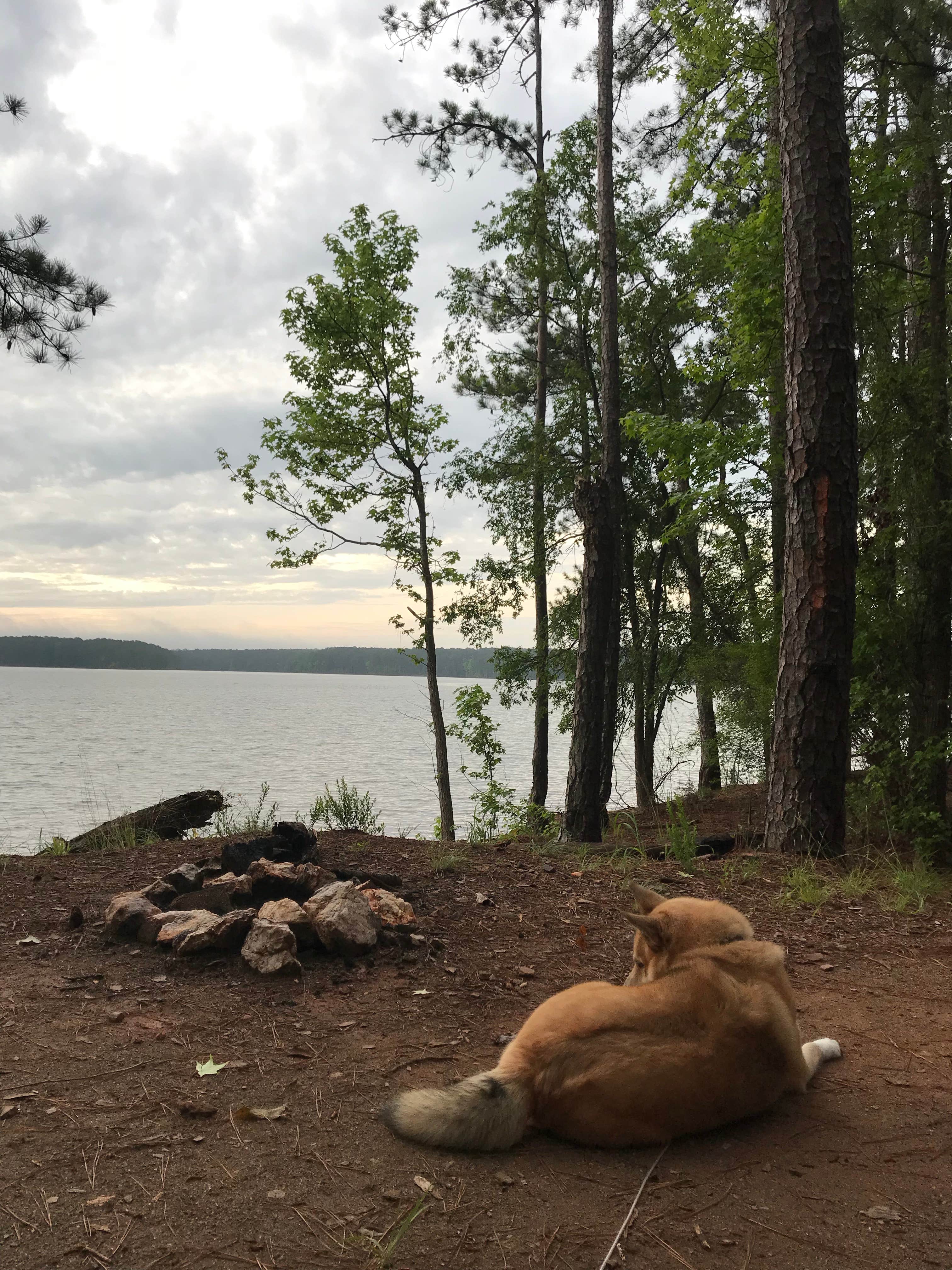 Camper-submitted photo at Hamilton Branch State Park Campground near Augusta, GA