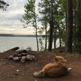 Review photo of Hamilton Branch State Park Campground by Tracy F., June 1, 2018