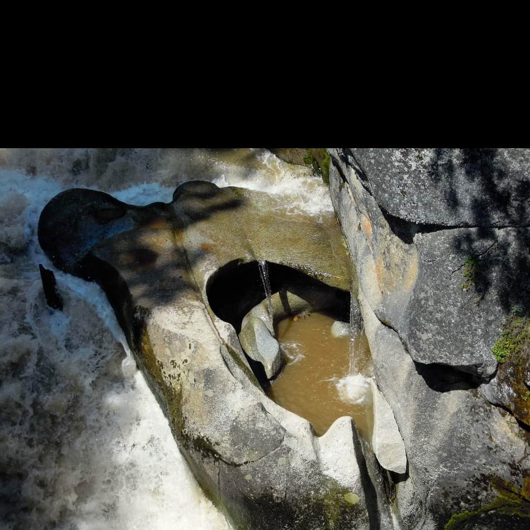 Clark Fork Campground Camping The Dyrt