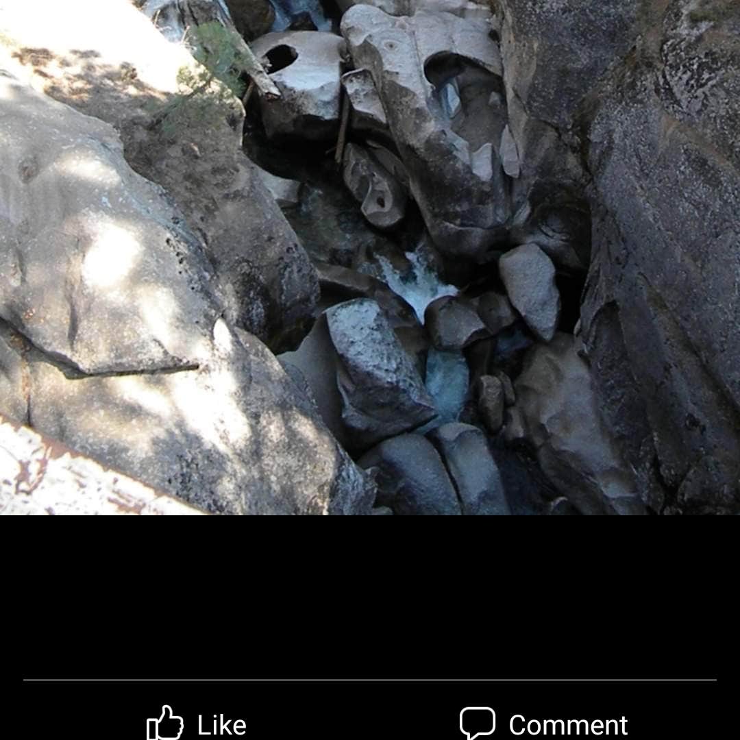 Clark Fork Campground Camping The Dyrt