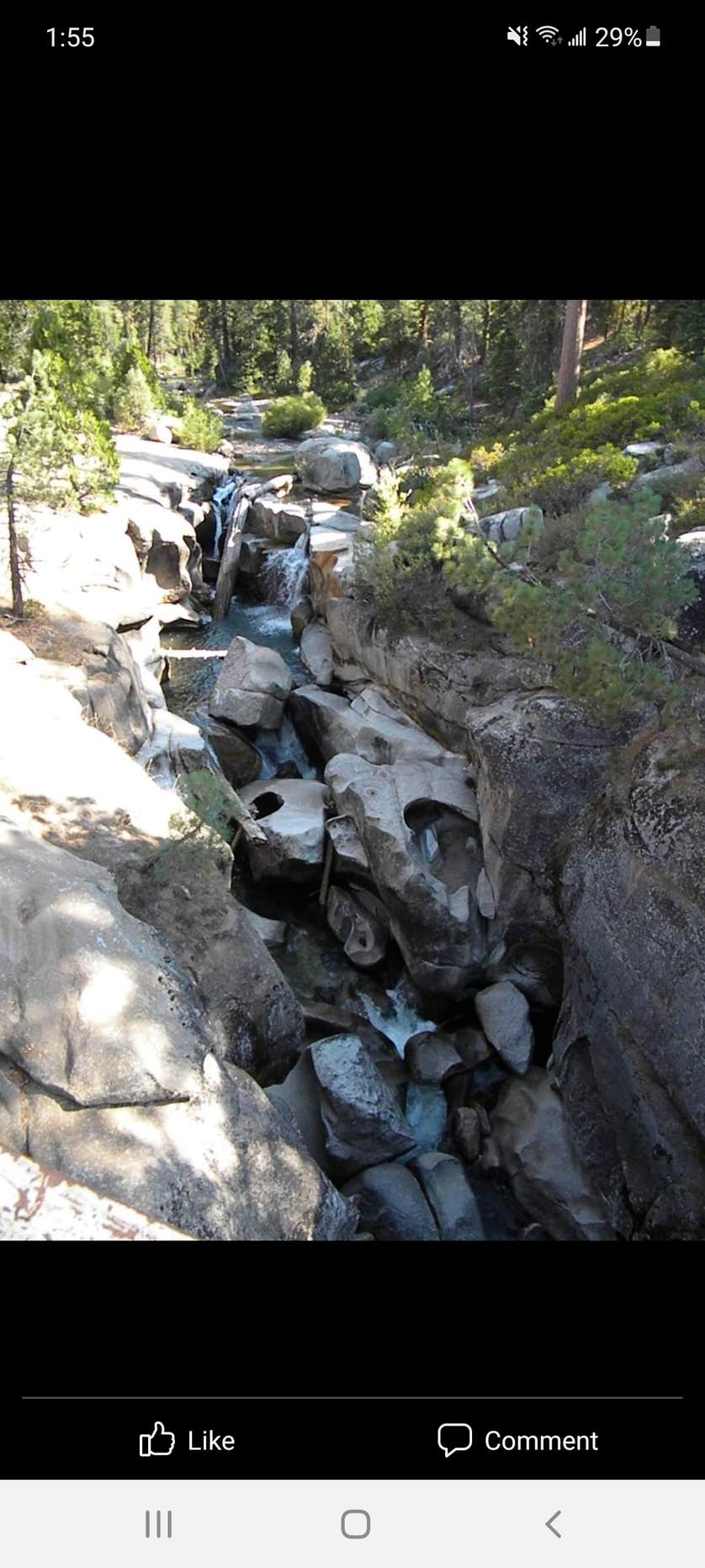 Clark Fork Campground The Dyrt