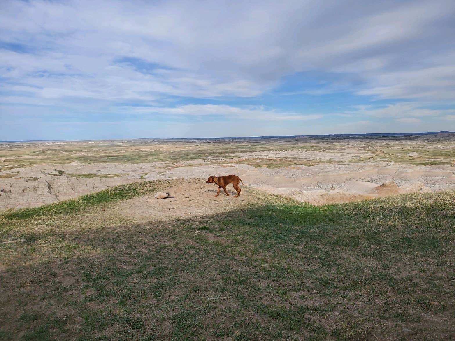 Allyse's photo of camping with pets at Buffalo Gap Dispersed Camping near Interior, SD