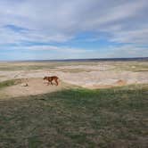 Review photo of Buffalo Gap Dispersed Camping by Allyse , May 2, 2021