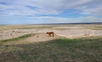 Allyse's photo of camping with pets at Buffalo Gap Dispersed Camping near Interior, SD