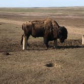 Review photo of Buffalo Gap Dispersed Camping by Allyse , May 2, 2021