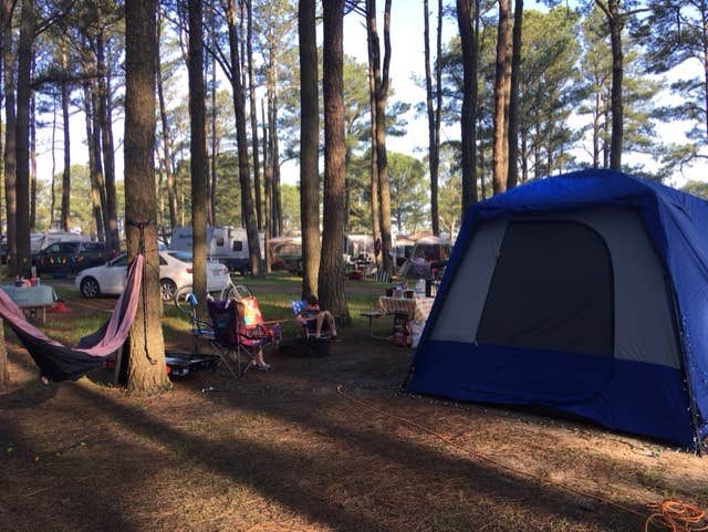 Susan P.'s photo at Jellystone Park™ Chincoteague Island near Chincoteague, VA