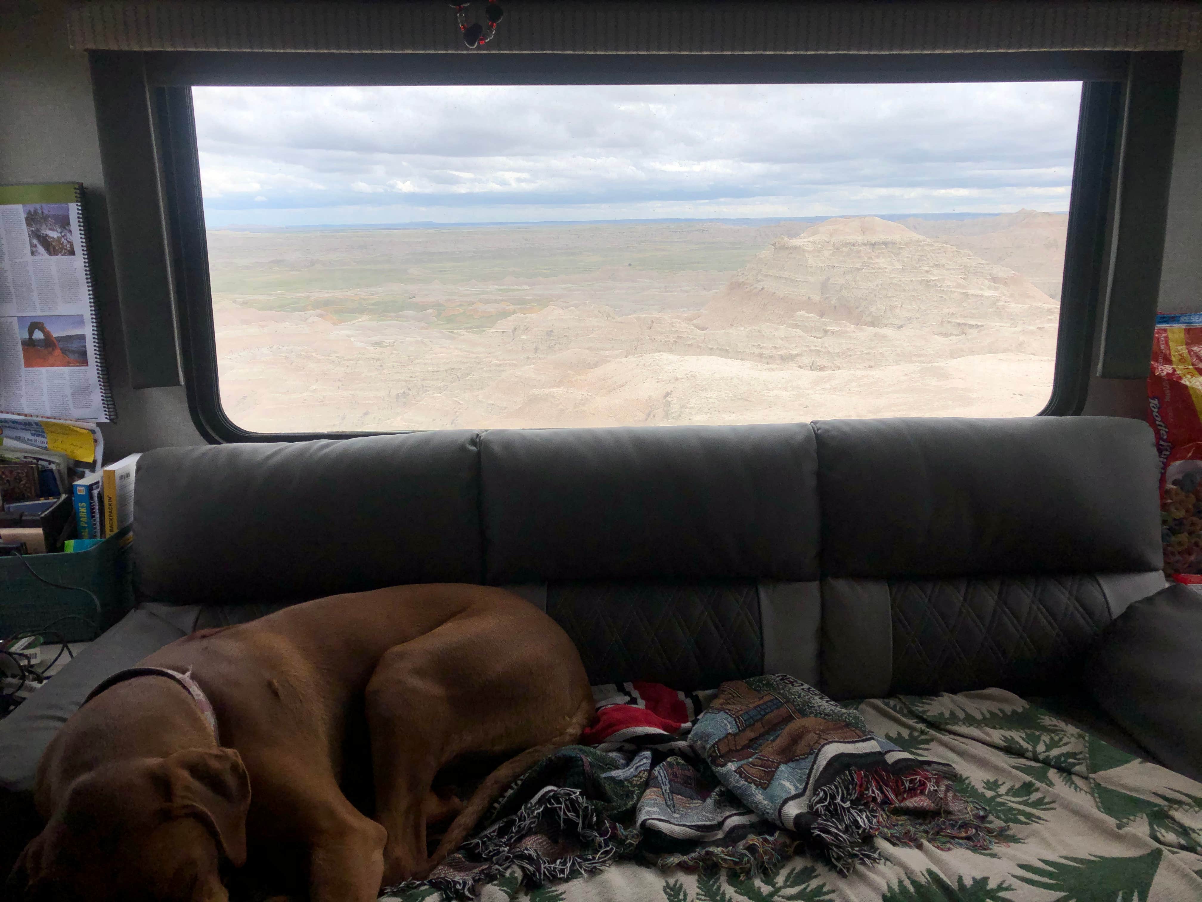 Camper submitted image from Buffalo Gap Dispersed Camping - 4