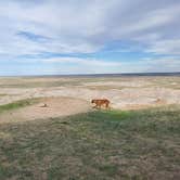 Review photo of Buffalo Gap National Grassland by Allyse , May 2, 2021