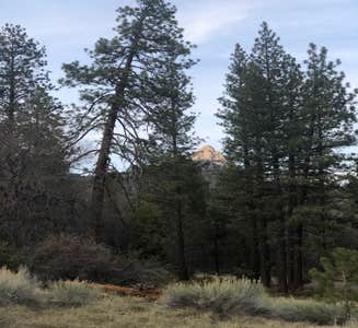 Camper-submitted photo from Dispersed Land in Sequoia National Forest