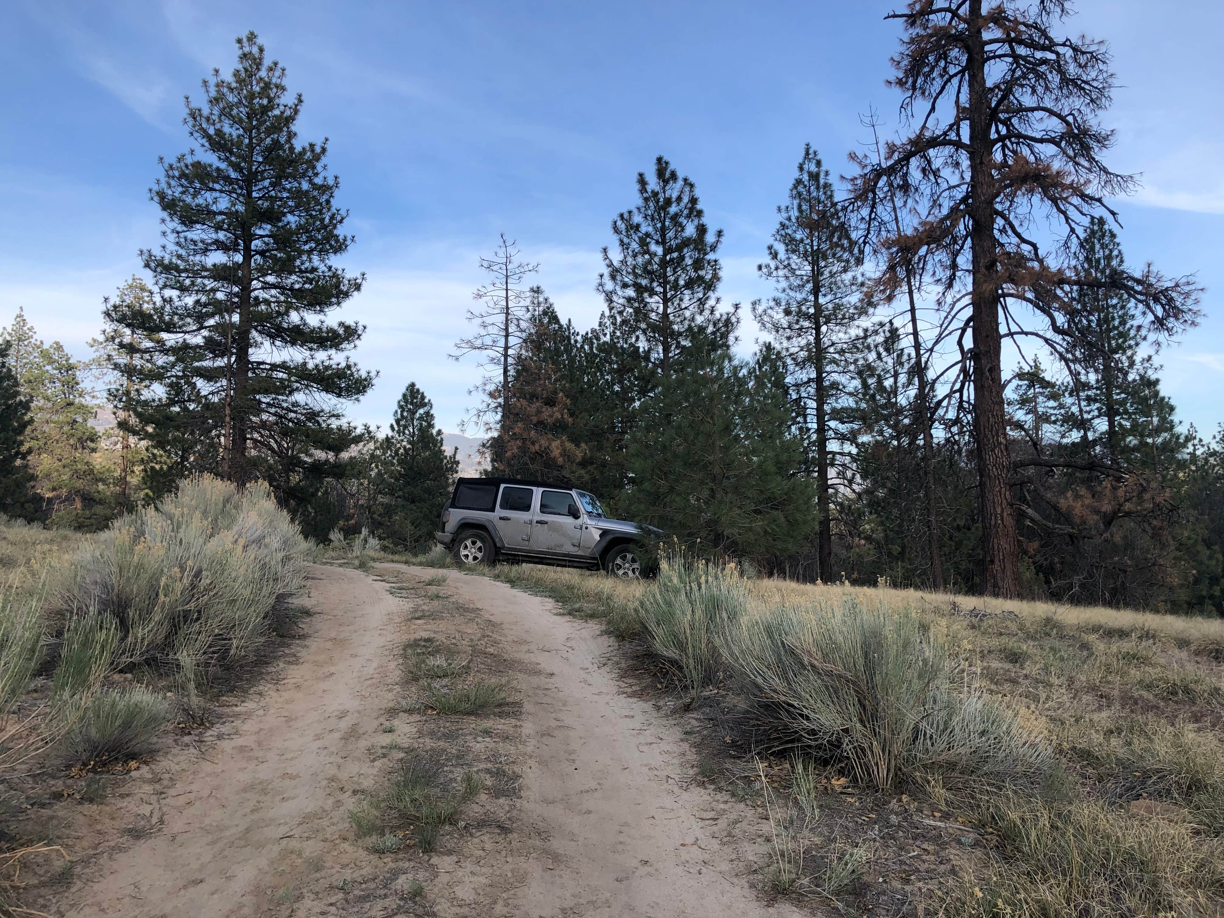 Camper submitted image from Dispersed Land in Sequoia National Forest - 3