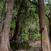 Review photo of Castroville Regional Park by Ray & Terri F., May 2, 2021