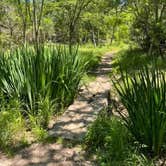 Review photo of Castroville Regional Park by Ray & Terri F., May 2, 2021