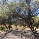 Review photo of Dead Horse Ranch State Park Campground by Candy P., May 2, 2021