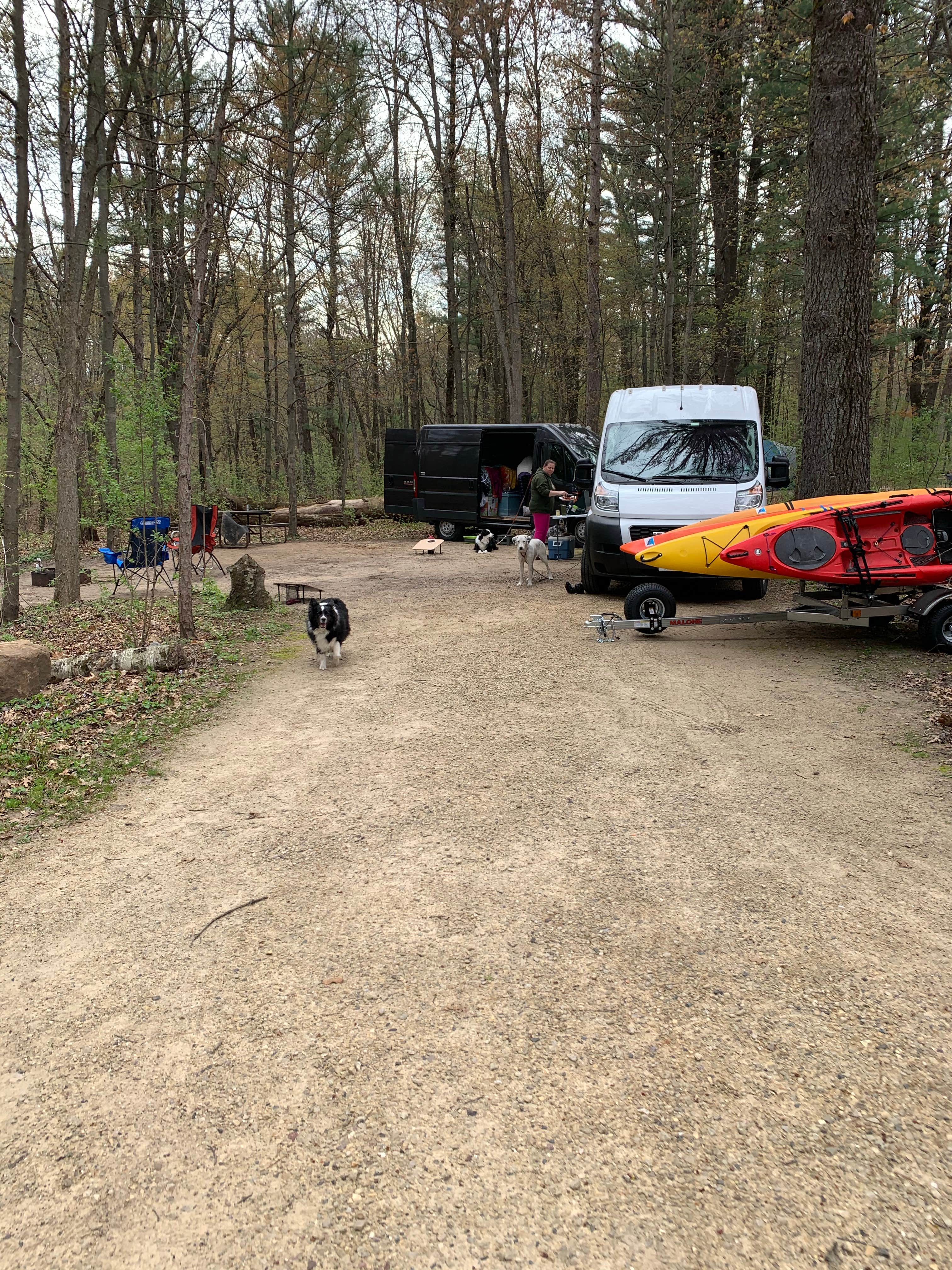 robert M.'s photo of camping with pets at Cliffwood Campground — Mirror Lake State Park near Baraboo, WI