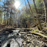 Review photo of Worlds End State Park Campground by Giancarlo R., May 3, 2021