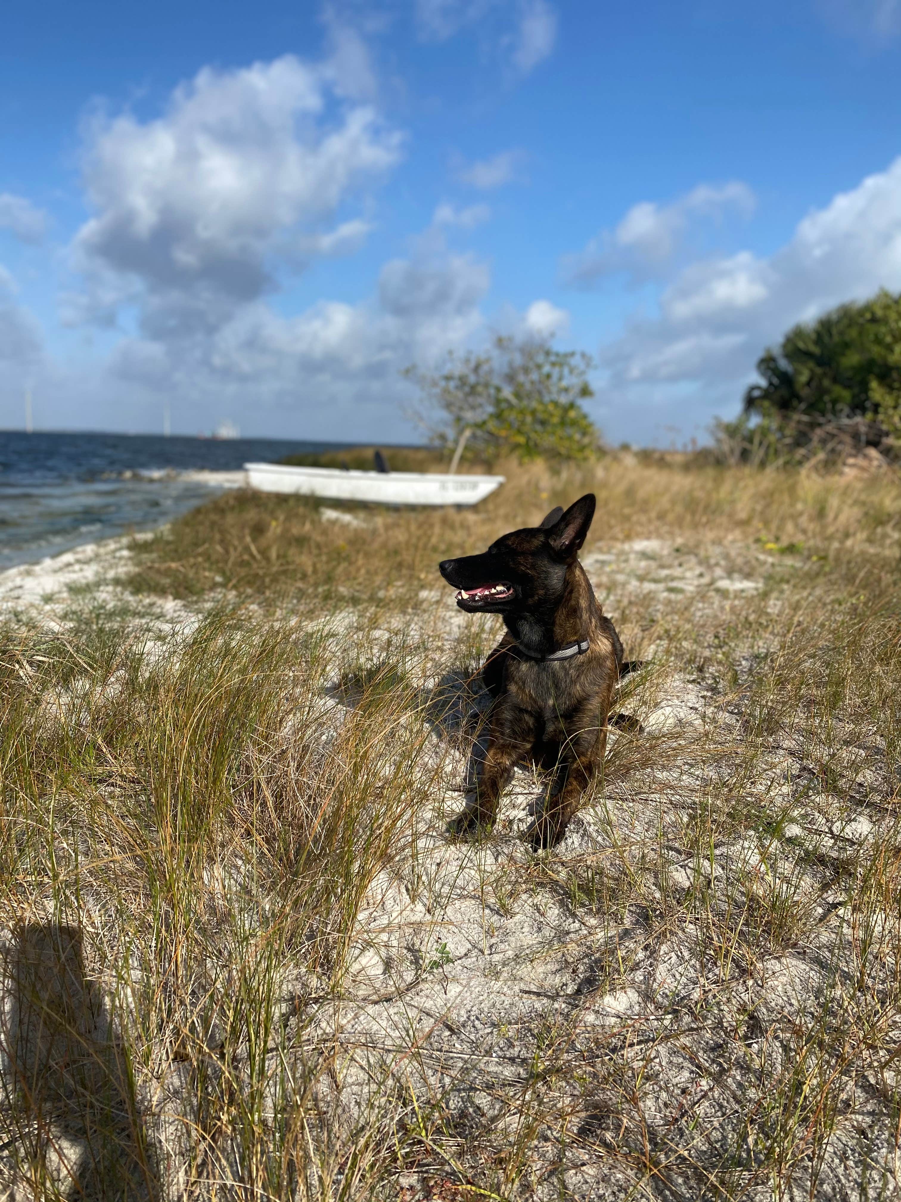 Richard's photo of camping with pets at Manatee Cove Family Campground at Patrick Air Force Base near Cape Canaveral, FL
