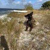 Review photo of Manatee Cove Family Campground at Patrick Air Force Base by Richard , May 3, 2021