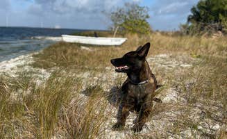Richard's photo of camping with pets at Manatee Cove Family Campground at Patrick Air Force Base near Palm Bay, FL