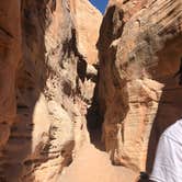 Review photo of Atlatl Rock Campground — Valley of Fire State Park by Elizabeth R., June 1, 2018