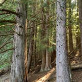 Review photo of Round Lake State Park Campground by The N., May 3, 2021