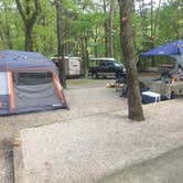Review photo of Daisy State Park Campground by Richard T., June 1, 2018