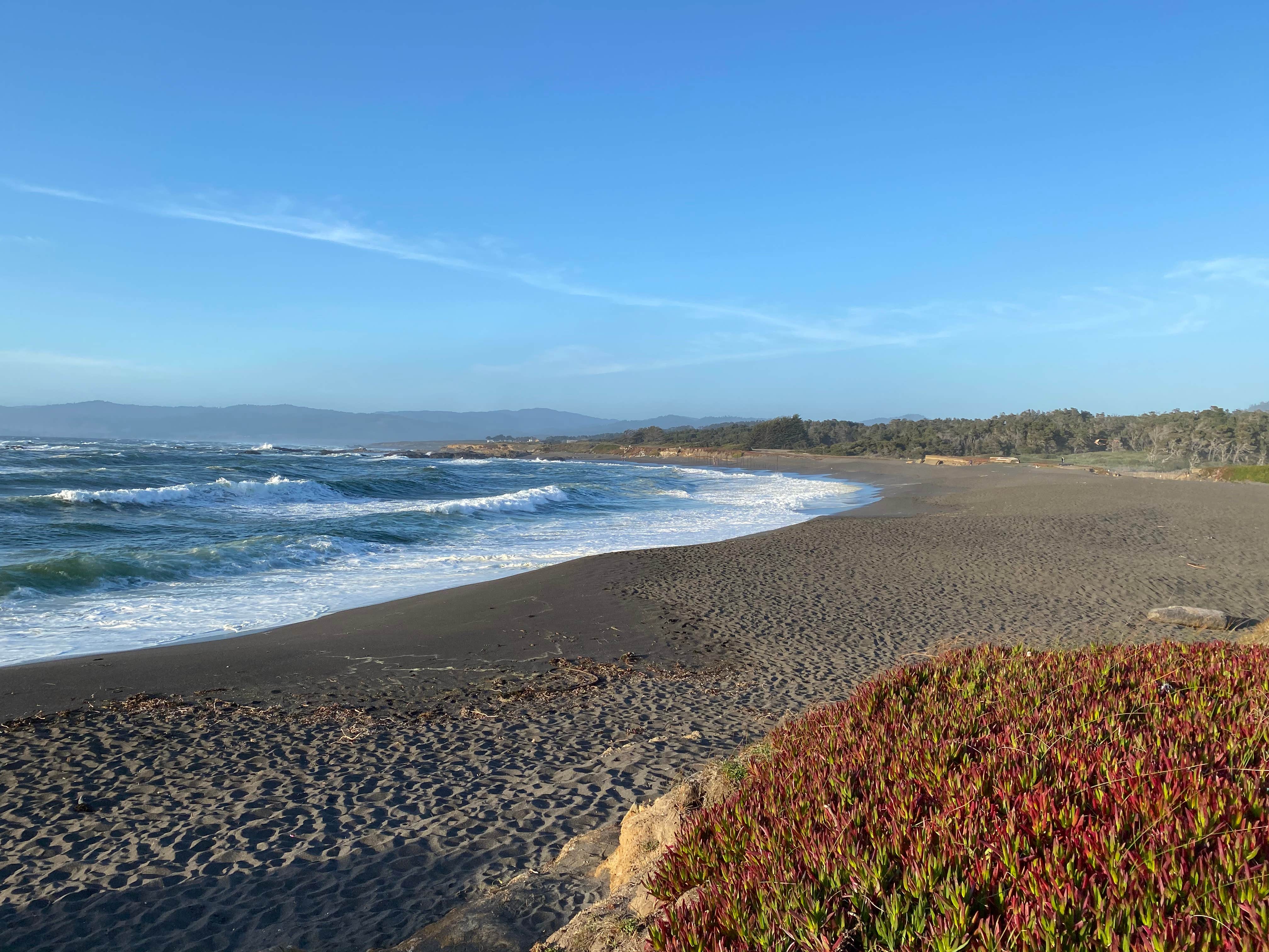 Camping near Dolphin Isle Marina & RV Park: Cleone Campground, Fort Bragg, California