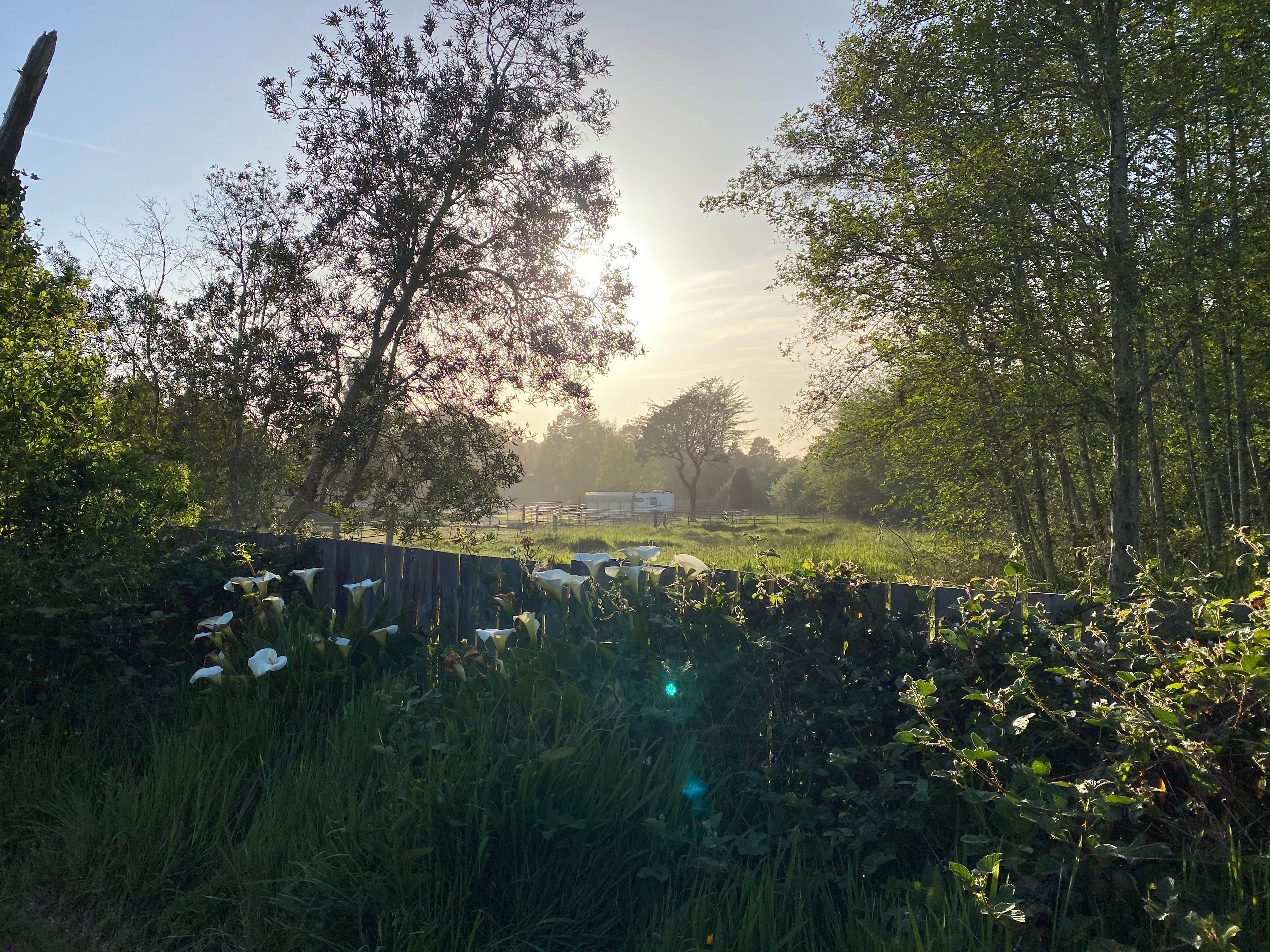Camper-submitted photo at Cleone Campground near Westport, CA