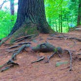 Review photo of Sandstone Ridge Campground — Mirror Lake State Park by Jennifer B., May 3, 2021