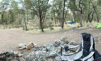Camping near Portal Ccc House: Pinery Canyon Road Dispersed Camping - Coronado National Forest, Portal, Arizona