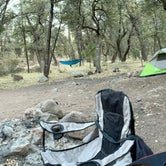 Review photo of Pinery Canyon Road Dispersed Camping - Coronado National Forest by CJ T., May 3, 2021