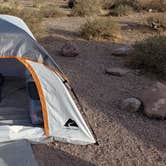 Review photo of Lost Dutchman State Park Campground by Patrick T., May 3, 2021