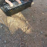 Review photo of Lost Dutchman State Park Campground by Patrick T., May 3, 2021