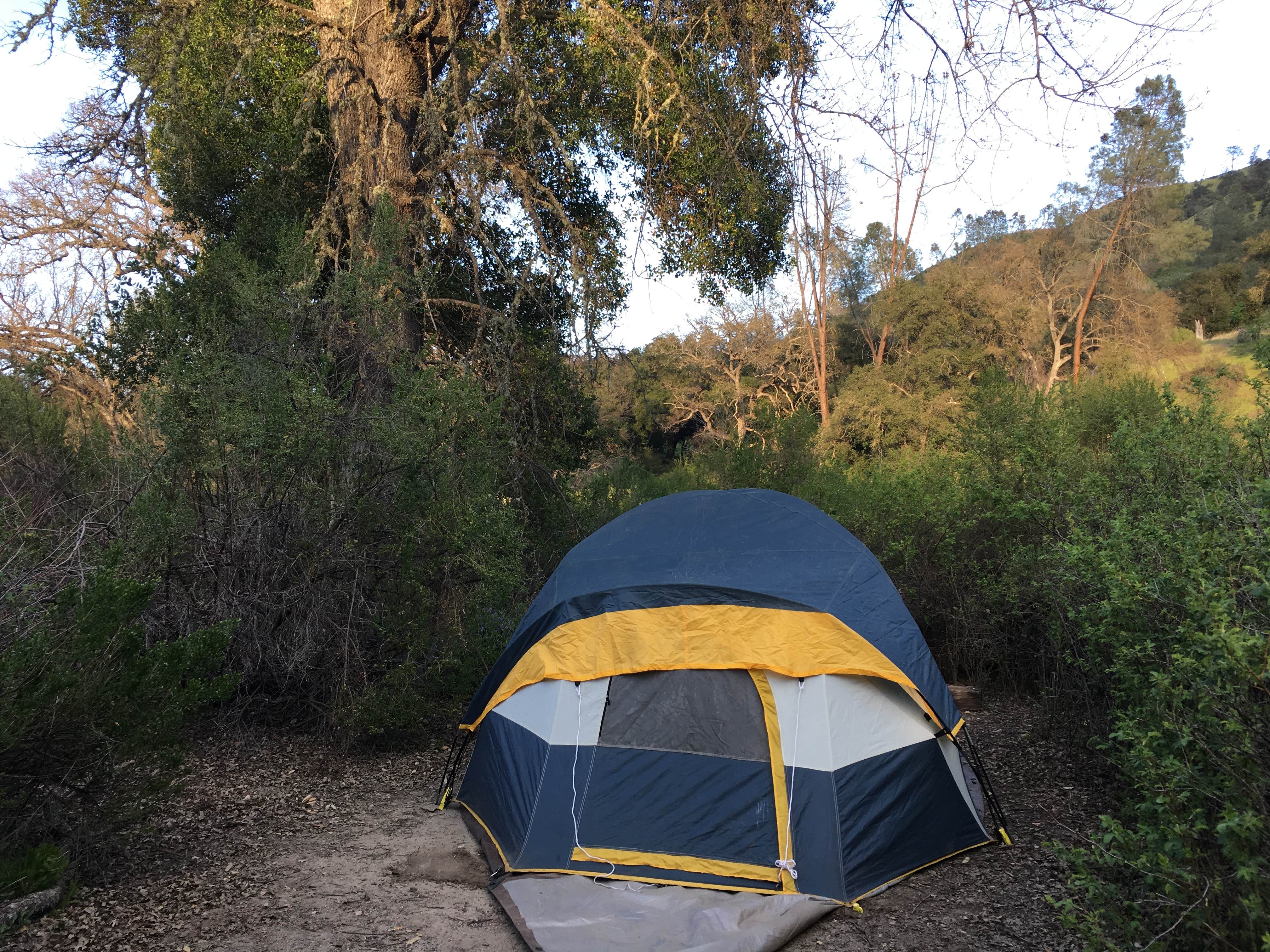 emma's photo at Pinnacles Campground — Pinnacles National Park near Paicines, CA