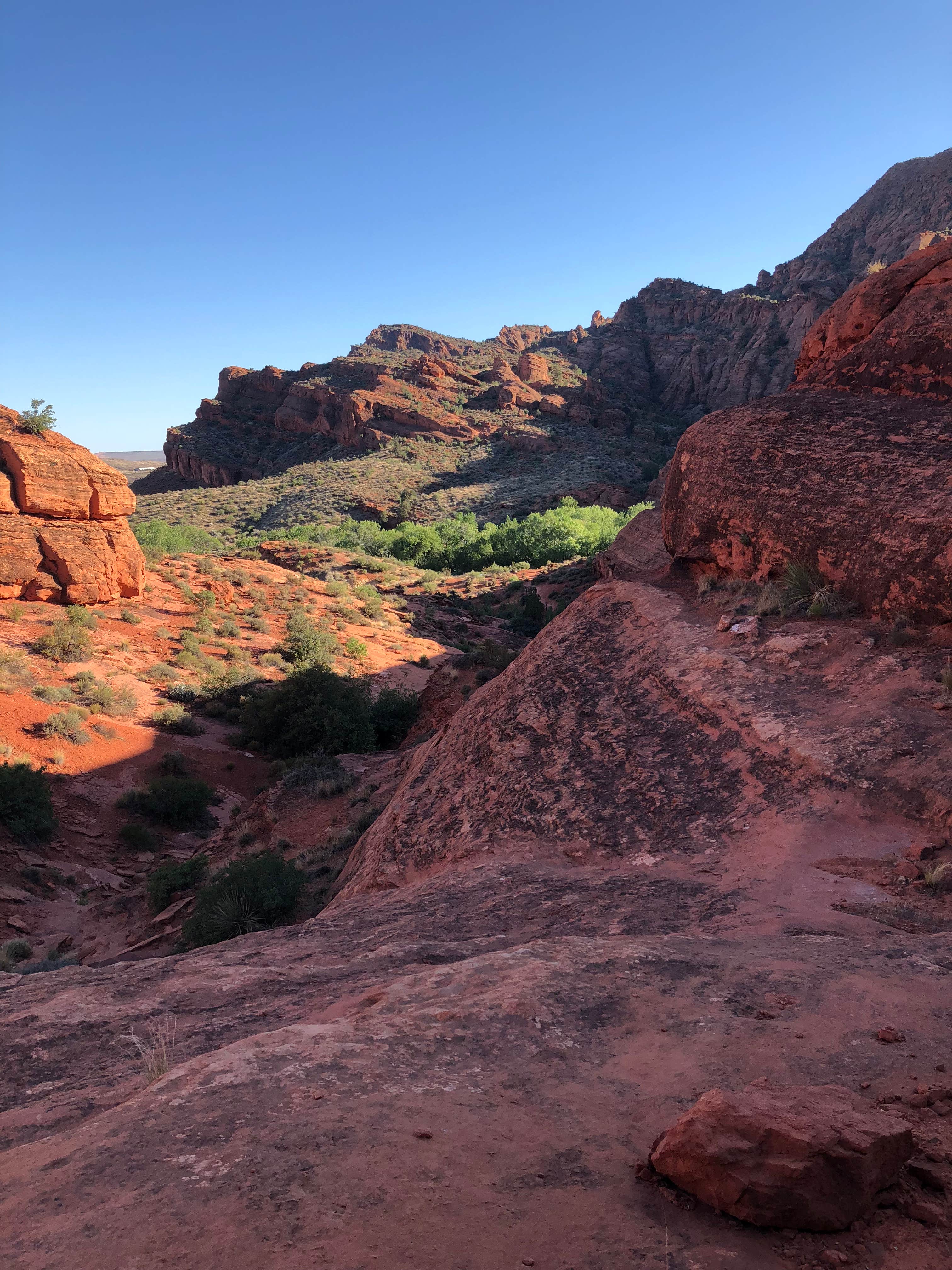 Camper submitted image from Red Cliffs Campground - 2