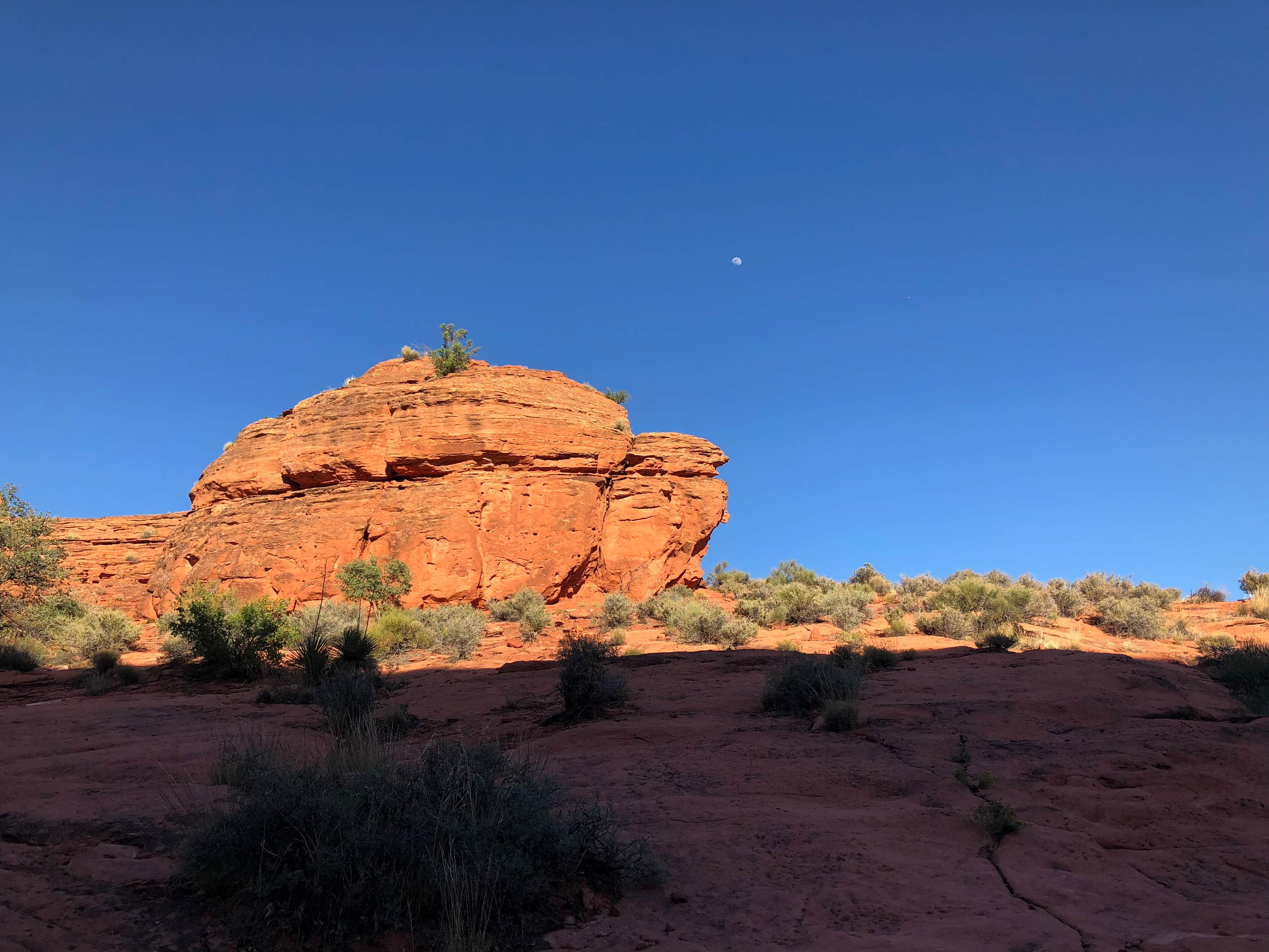 Red Cliffs Campground Camping | The Dyrt