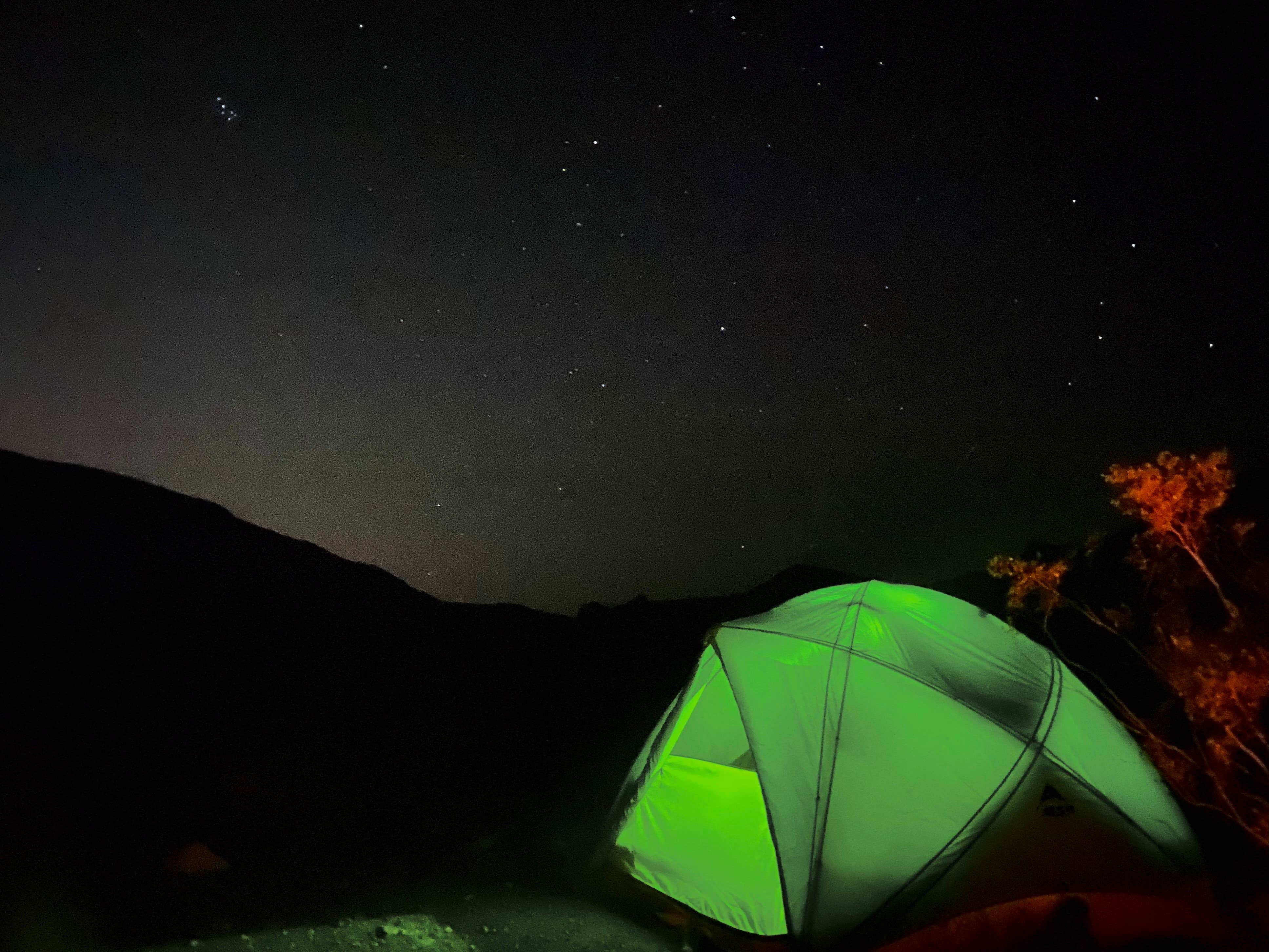 Brittany N.'s photo at Muddy Mountains near North Las Vegas, NV