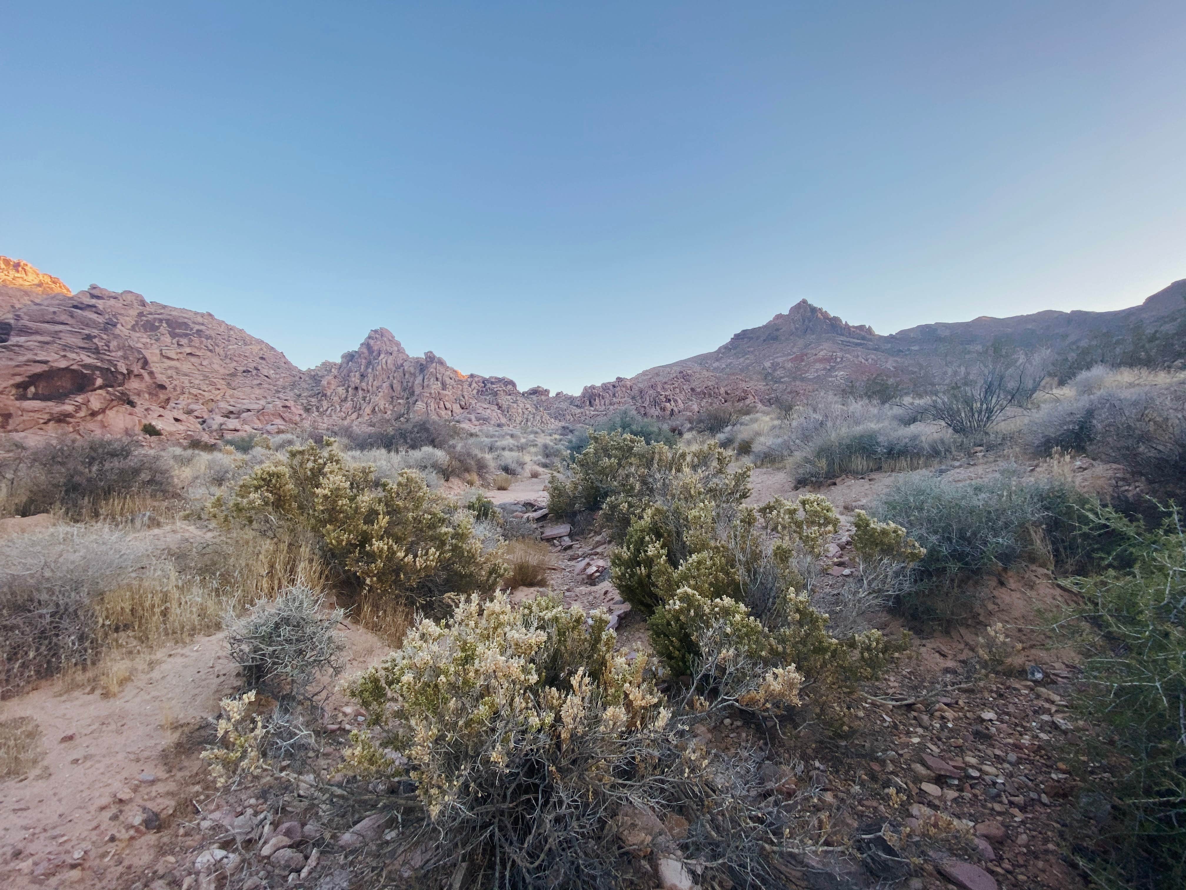 Camper-submitted photo at Muddy Mountains near North Las Vegas, NV
