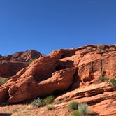 Review photo of Red Cliffs Campground by Elizabeth R., June 1, 2018