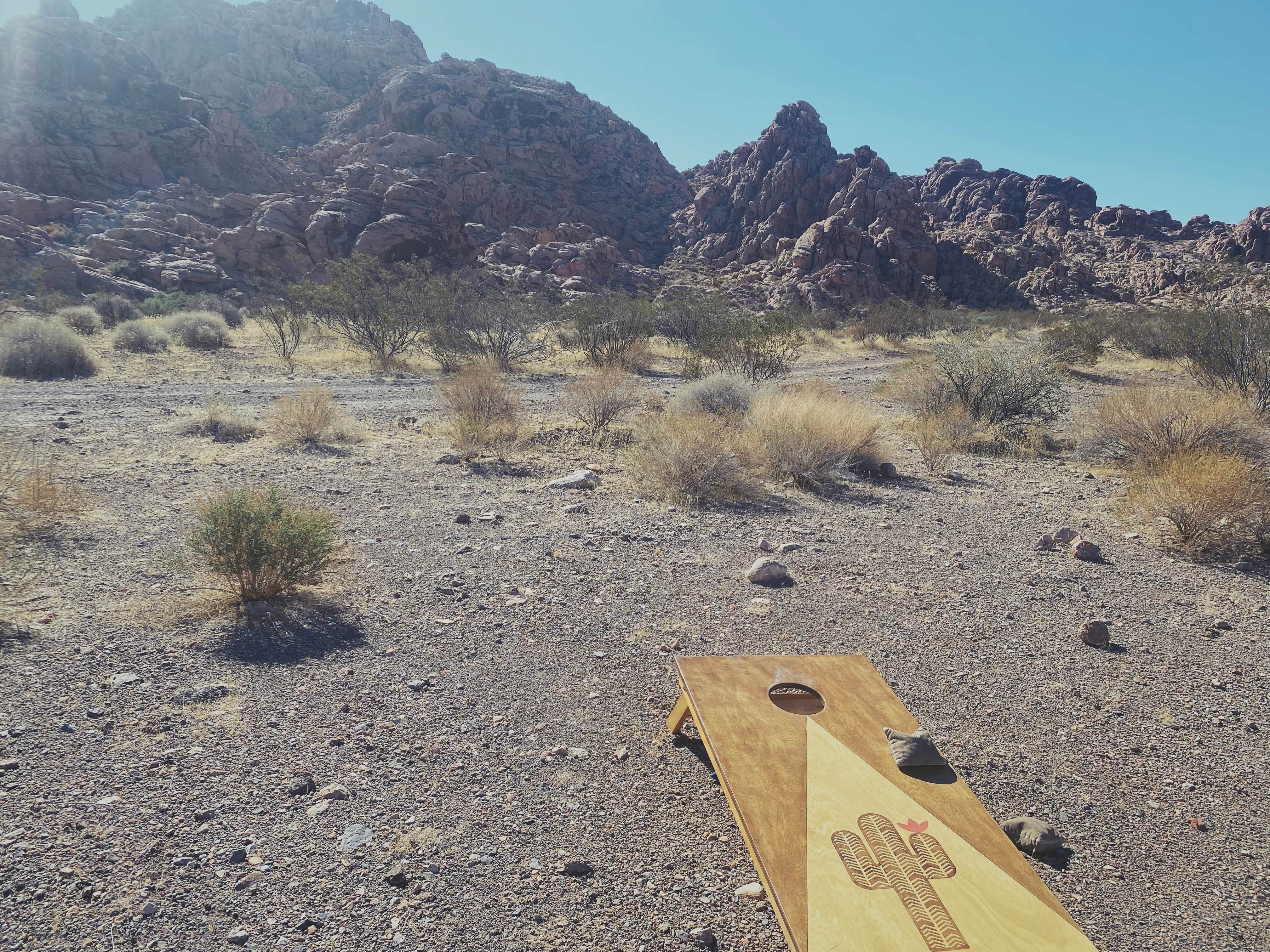 Camper-submitted photo at Muddy Mountains near North Las Vegas, NV