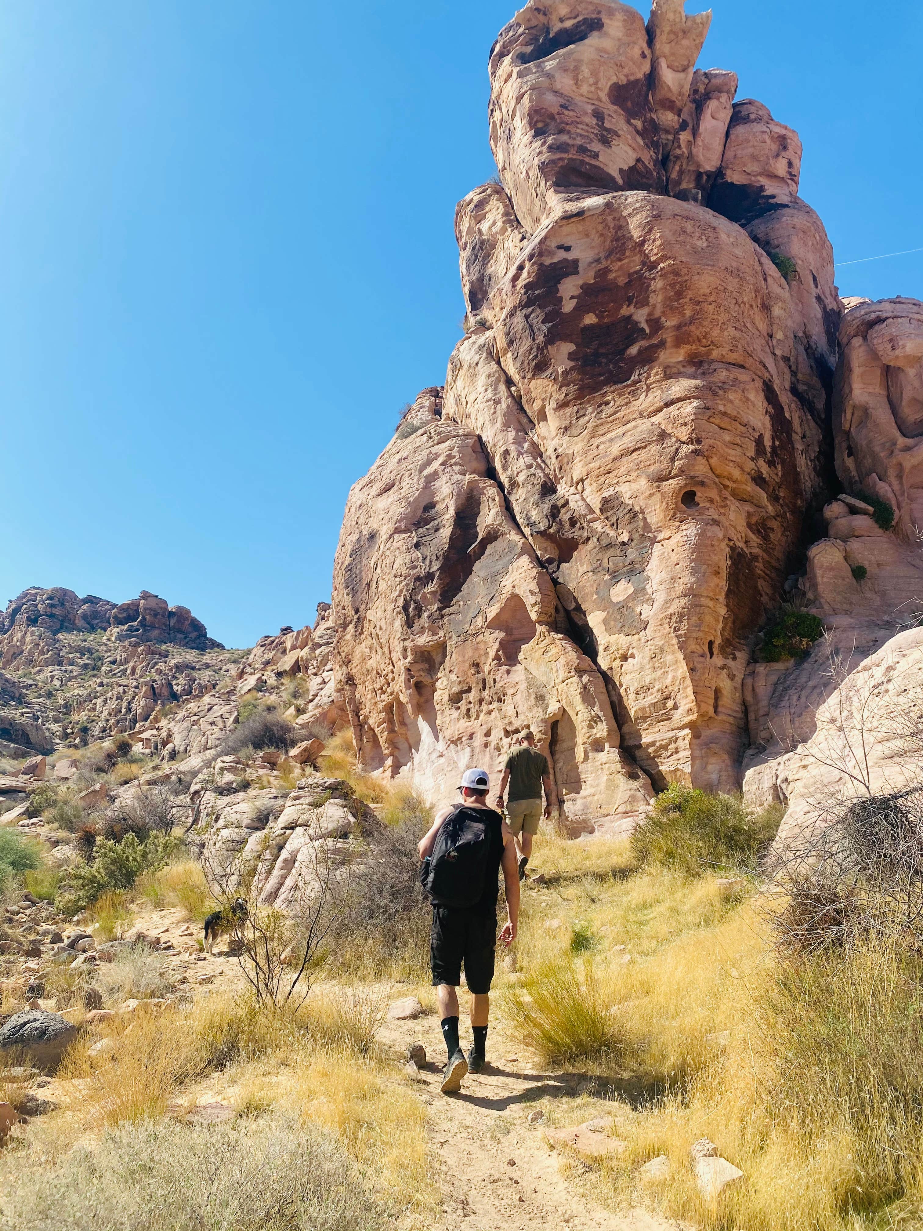 Camper submitted image from Muddy Mountains - 4