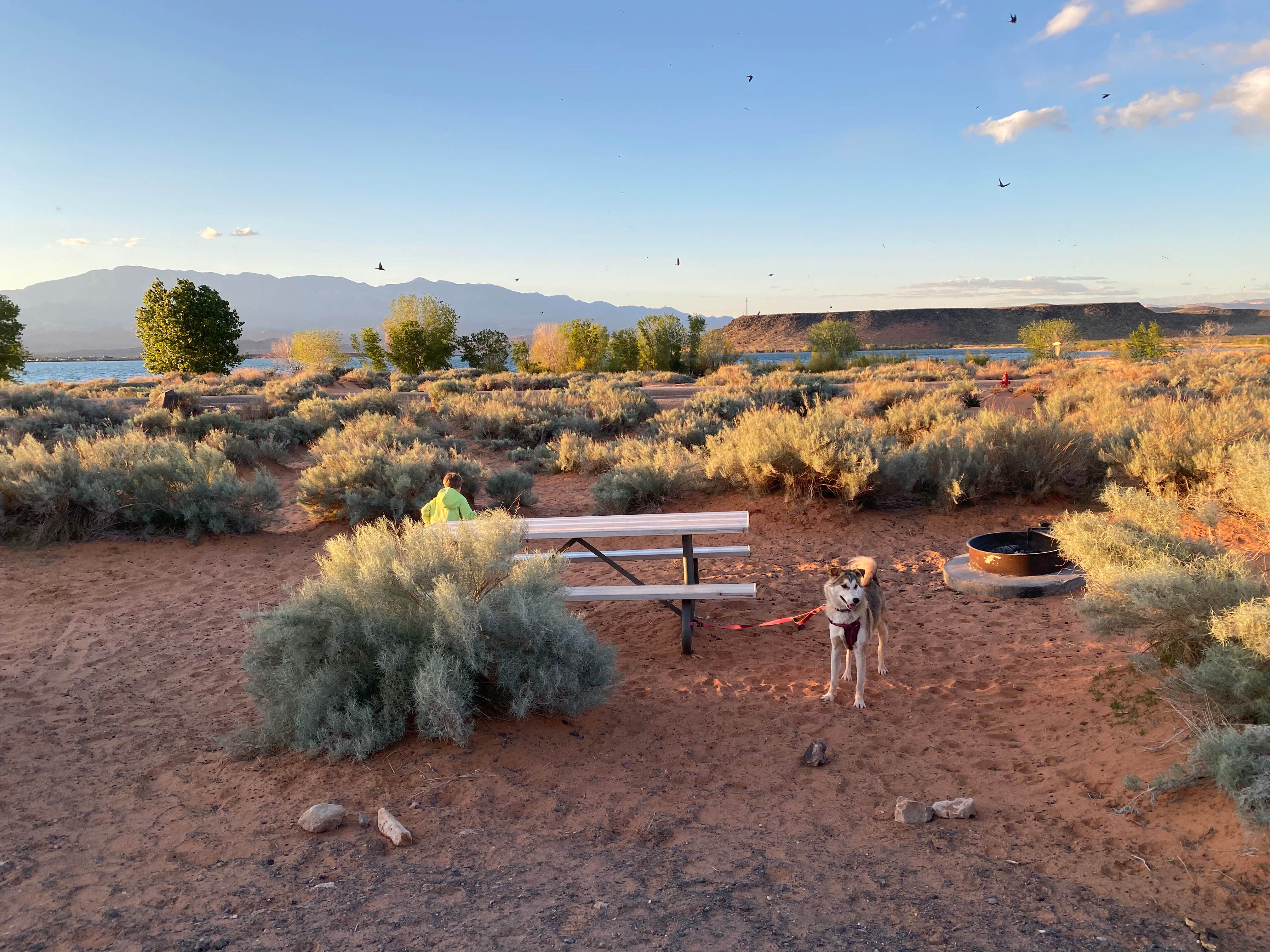 Camper submitted image from Sand Pit Campground — Sand Hollow State Park - 3