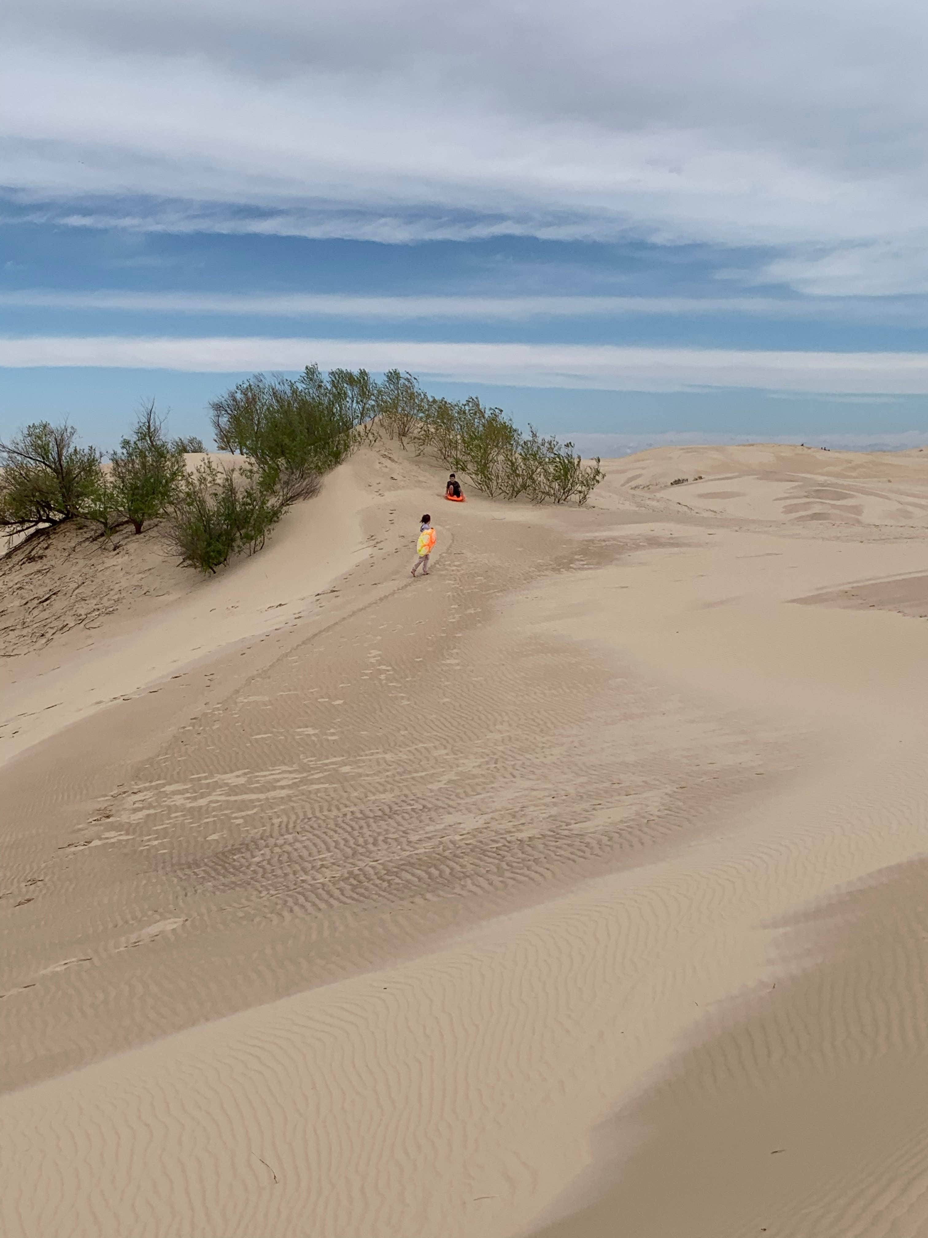 Monahans Sandhills State Park | The Dyrt